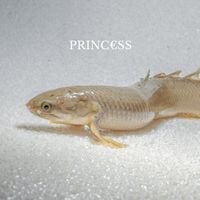Princ&euro;ss - Princ&euro;ss