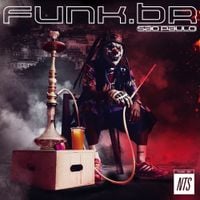 Various Artists - funk.BR - S&atilde;o Paulo