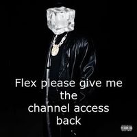 Mr Ice - Flex Please Give Me Channel Access Back