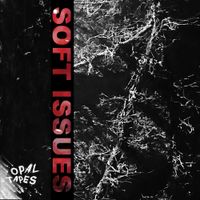 Soft Issues - High Capacity Magazine