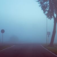 Fog - Fog