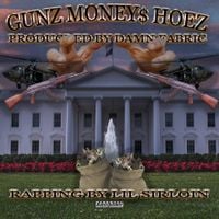 Damn Fabric - Gunz Money$ Hoez