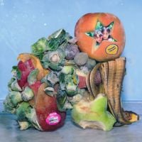 The Army, The Navy - Fruit For Flies