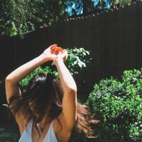 wilt - moved along