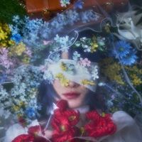 Mo&euml; - Blooming