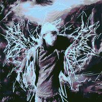 Zaan - Perfectly Imperfect