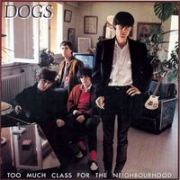 Dogs - Too Much Class For the Neighbourhood