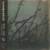 susquatch - Plum / Ceto