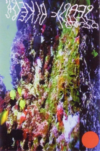 Dreamers Cloth - Pearl Divers