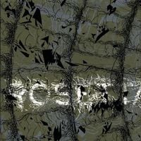 Rosetta - The Galilean Satellites