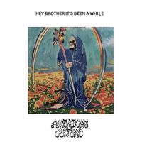 American Culture - Hey Brother, It's Been Awhile