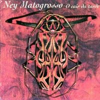 Ney Matogrosso - O Cair da Tarde