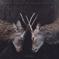 White Moth Black Butterfly - Atone