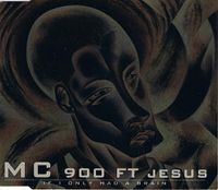 MC 900 Ft. Jesus - If I Only Had a Brain