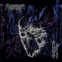 Spectral Voice - Eroded Corridors of Unbeing