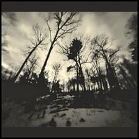 The Dead Land - The Lotus Eater