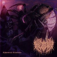 Chains Of Agony - Ephemeral Existence