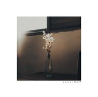 RAY - vase