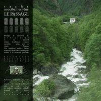 Sacha Anocibar Lech&ecirc;ne - Le Passage