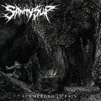 Sanity Slip - Submerged in Pain
