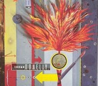 Tanya Donelly - Sliding and Diving