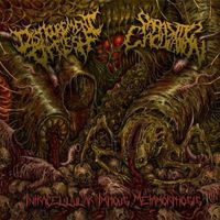 Disfigurement Of Flesh - Intracellular Impious Metamorphosis