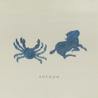 ソラヤ [soraya] - soraya