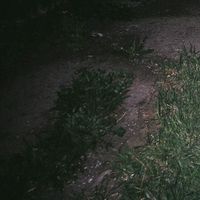 surrenderdorothy - itsthethoughtthatcounts