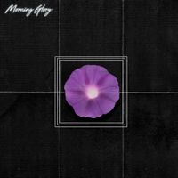 Mark Whalen - Morning Glory