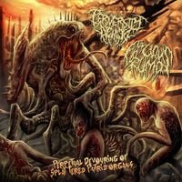 Perversity Denied - Perpetual Devouring of Splattered Putrid Organs