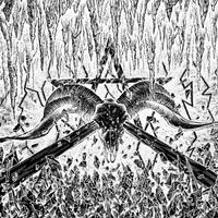 Celestial Bodies - Spit Forth From Chaos