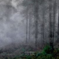 Avith Ortega - Trail to the Past