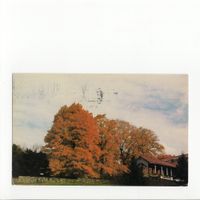 herlovebeheadsdaisies & edith pike - Sisters of the Blessed Sacrament
