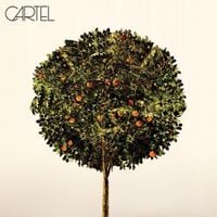 Cartel - Cartel