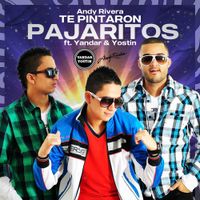 Andy Rivera - Te Pintaron Pajaritos