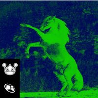 BUGCORE - DONKEY STOMP