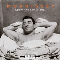 Morrissey - Spent the Day in Bed