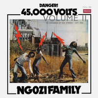 Ngozi Family - 45,000 Volts: Volume II