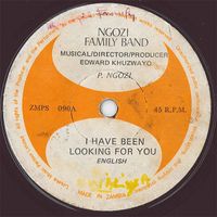 Ngozi Family - I Have Been Looking for You / We Were Not Told