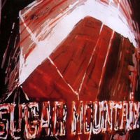 Cosmic City Blues - Sugar Mountain
