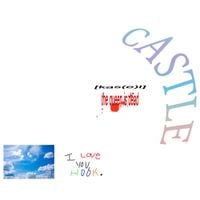 Hook - CASTLE