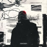 MYTHM - Mind Of Madness