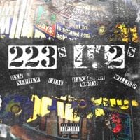 RXKNephew - 223s & 442s