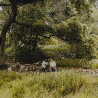 Tim And James - Lemon Tree