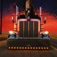 Bad Bunny - Booker T