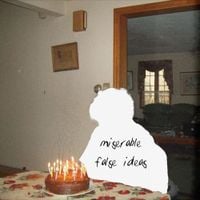 i don&rsquo;t like mirrors - Miserable False Ideas