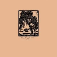 Various Artists - Eucalyptus
