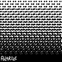 Polarize - POLARIZEFEST