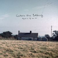 Cowbois Rhos Botwnnog - Mynd &acirc;'r Tŷ Am Dro