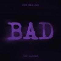 Kim Nam Joo - BAD